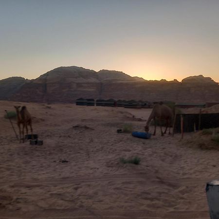 Отель Bedouin Host Camp& With Tour Вади-Рам Экстерьер фото