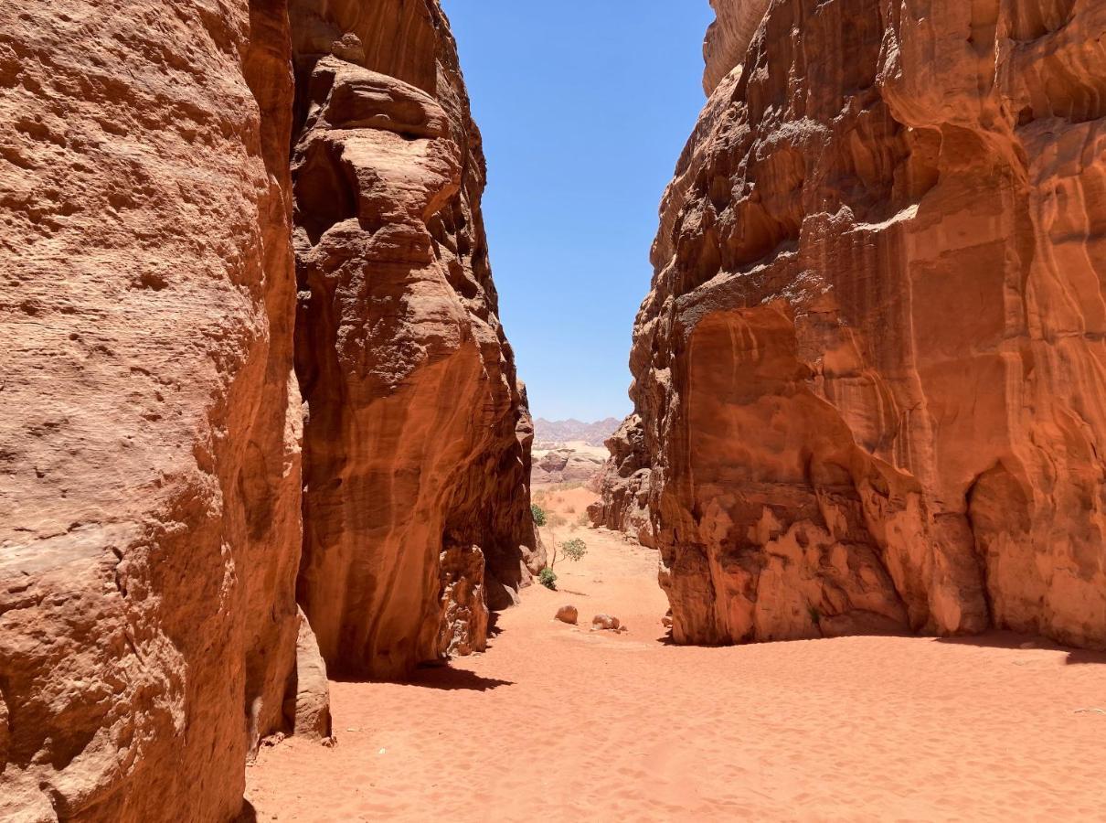 Отель Bedouin Host Camp& With Tour Вади-Рам Экстерьер фото