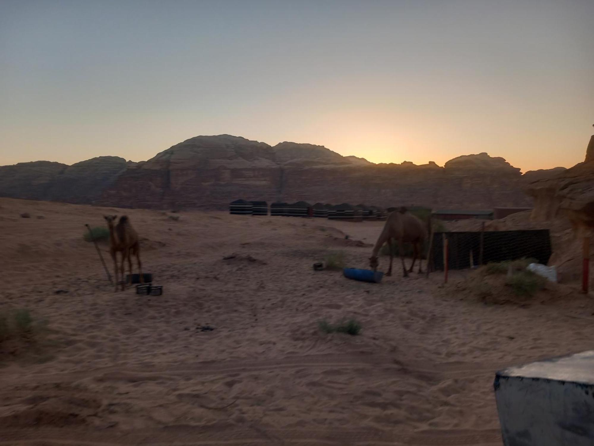 Отель Bedouin Host Camp& With Tour Вади-Рам Экстерьер фото