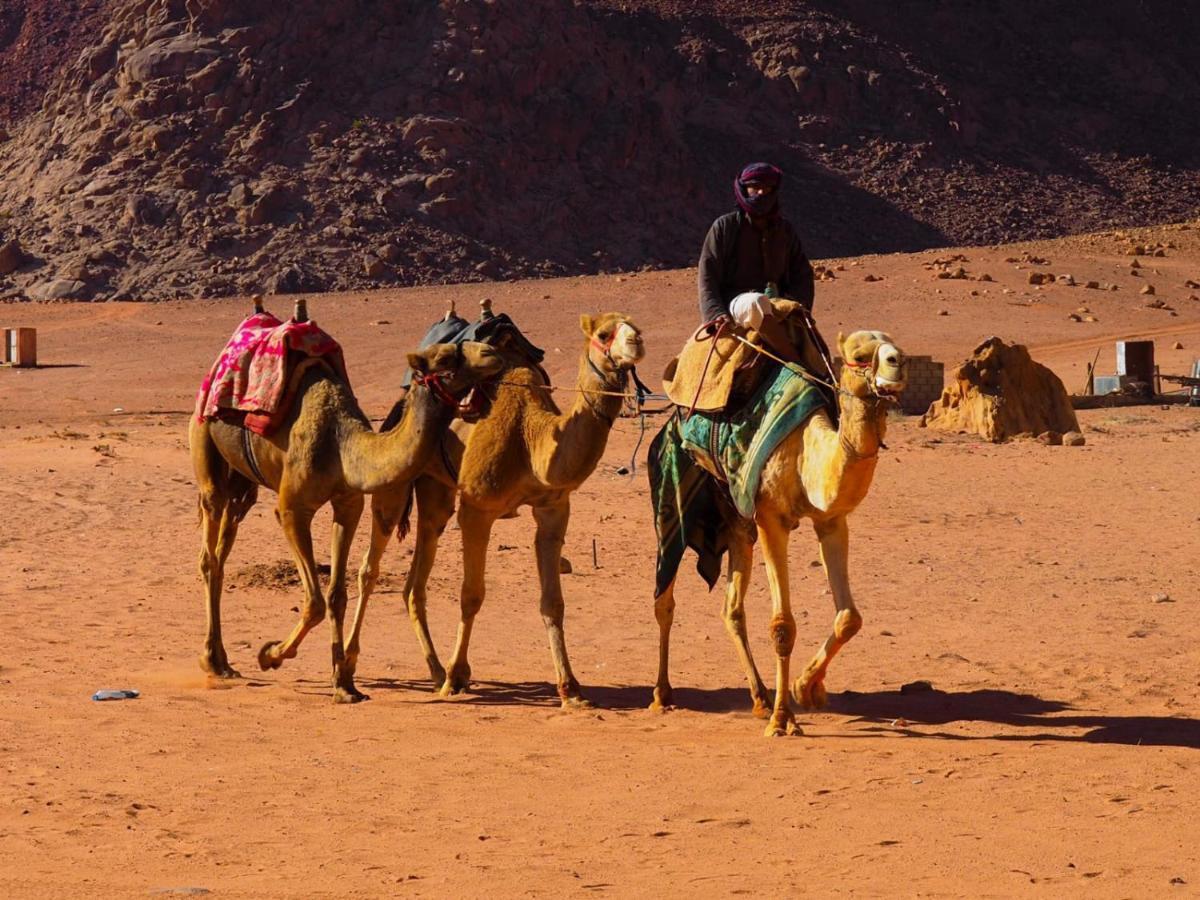 Отель Bedouin Host Camp& With Tour Вади-Рам Экстерьер фото